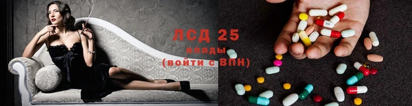 дживик Алзамай