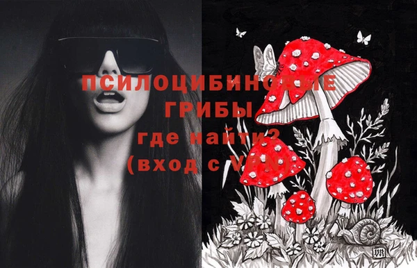 дурь Навашино