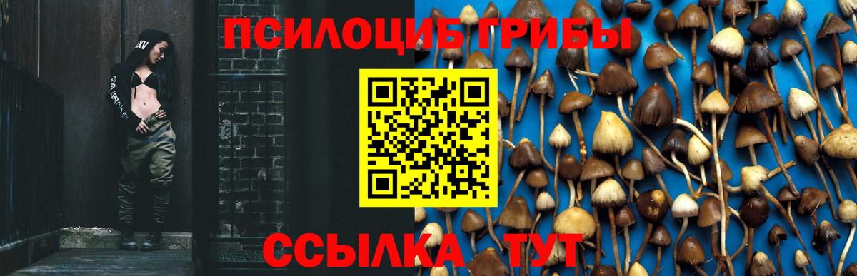 Псилоцибиновые грибы MAGIC MUSHROOMS  Вход с VPN  Нижний Тагил 